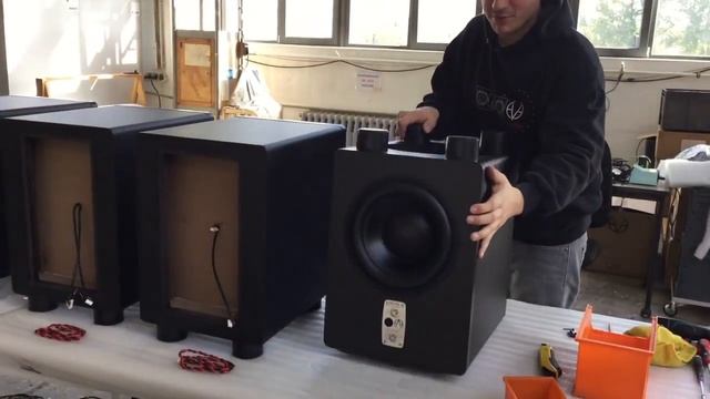 EVE Audio - сабвуфер TS110 для акустической системы. смотреть онлайн