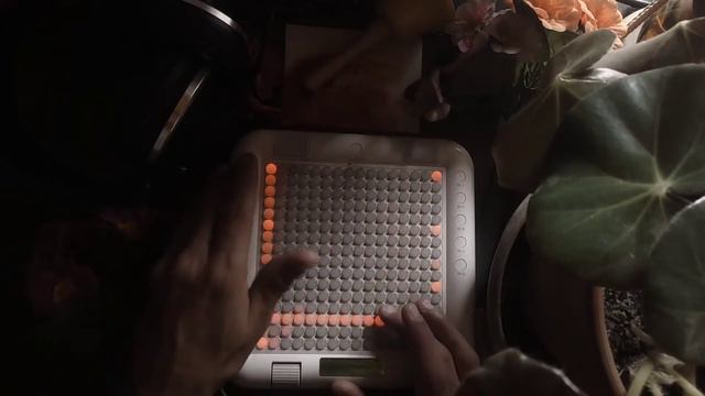 YAMAHA Tenori-on -HUMBLE IMPRO- смотреть онлайн