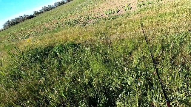 Рыбалка в Краснодарском крае || Карась на поплавок смотреть онлайн