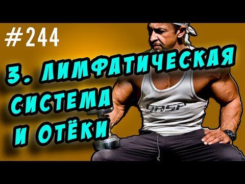 лимфатическая система. лимфатические отеки. как возникают и как бороться. смотреть онлайн