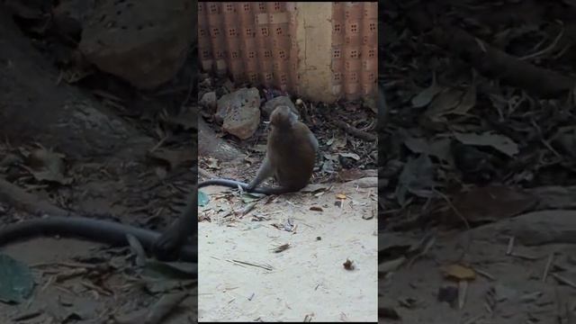 1 января 2024 г. смотреть онлайн