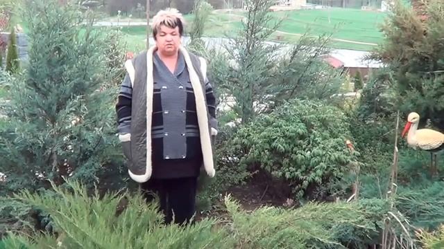 Древовидный Пион. Как Правильно Ухаживать За Древовидным Пионом смотреть онлайн