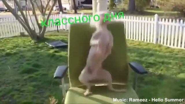 Интересный день смотреть онлайн