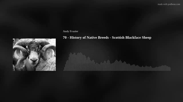 70 - History of Native Breeds - Scottish Blackface Sheep смотреть онлайн