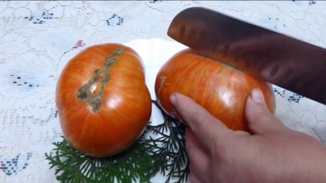 Урожайные сорта томатов в разрезе Делаем выводы 2 часть смотреть онлайн