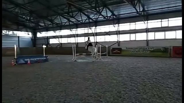 Конное видео. Немного прыжков. Соревнования и тренировки. смотреть онлайн