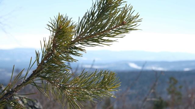 End of winter. Конец зимы смотреть онлайн