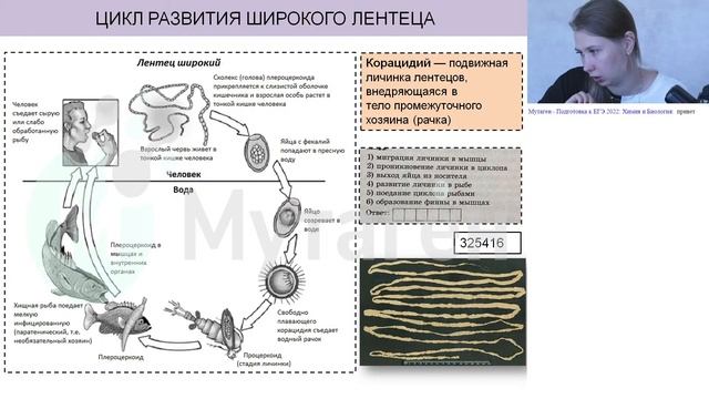 Занятие №15. Черви смотреть онлайн