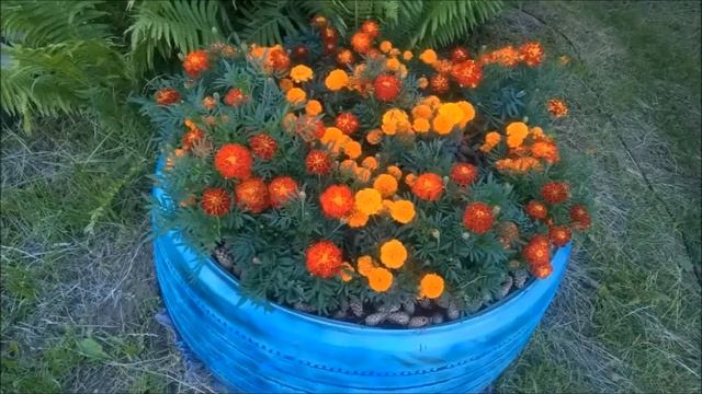 клумбы из шин и покрышек смотреть онлайн