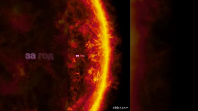 Сколько фактов ты уже знал ? #космос #факты #звезды #odinvmire #планета #планетаземля #солнце #рек смотреть онлайн