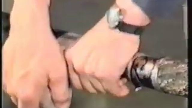 Монтаж кабельных линий MPEG 4 смотреть онлайн