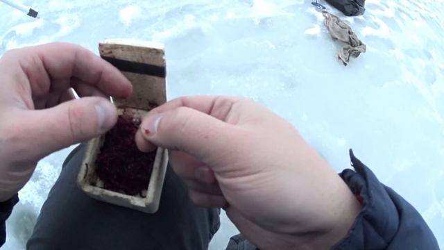 Зимняя рыбалка в Московской области, деревня ,, Осеево'' смотреть онлайн