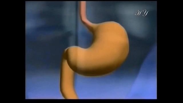 УДИВИТЕЛЬНЫЙ ОРГАНИЗМ ЧЕЛОВЕКА, НЕВЕРОЯТНЫЕ ФАКТЫ | А ВЫ ЭТО ЗНАЛИ??? смотреть онлайн