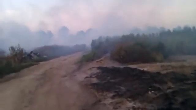 Элит масло травит жителей станицы Тбилисской