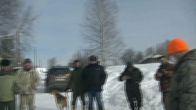 Выставка охотничьих собак гончих пород. смотреть онлайн