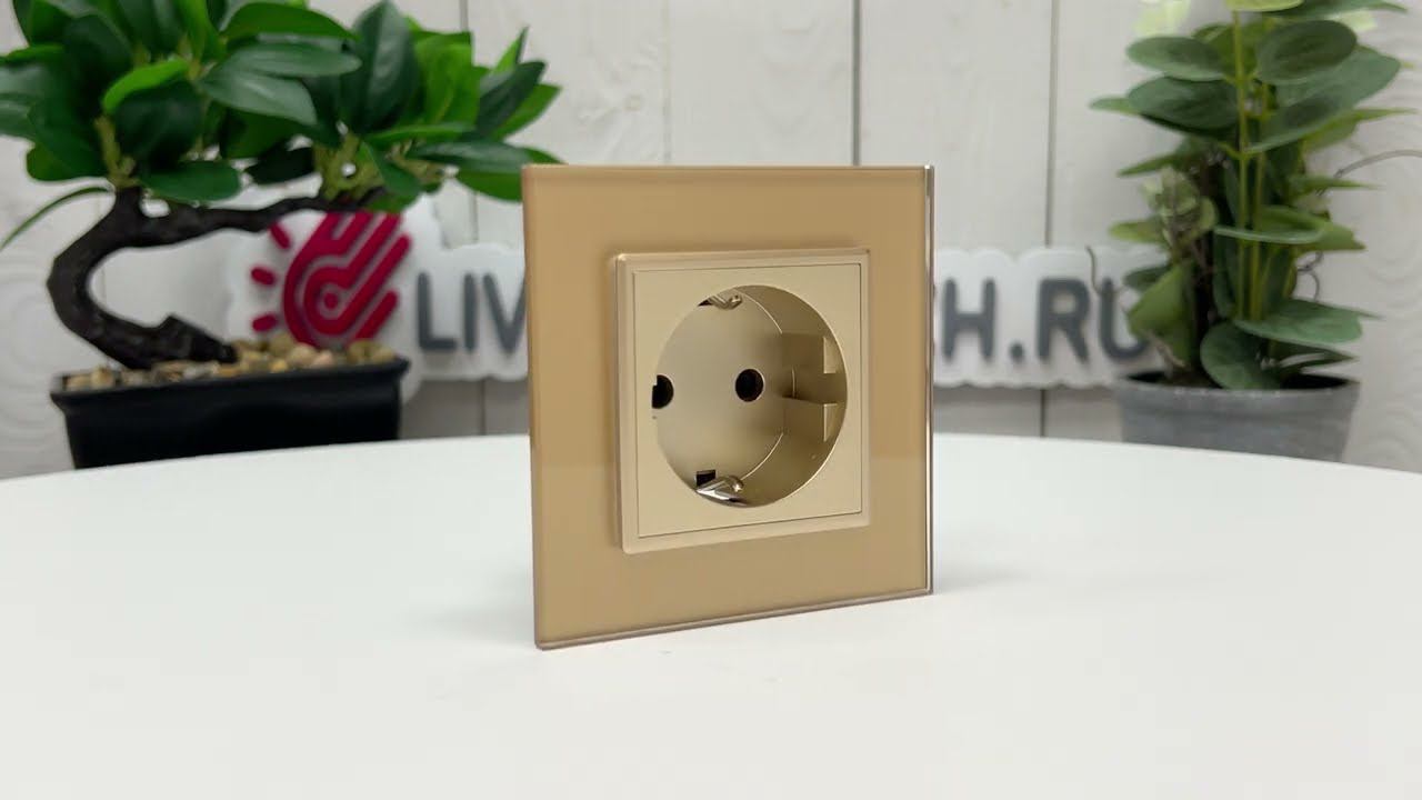 Розетка электрическая LIVOLO, зажимы, золотая, VL-FCTC16A-2APS01