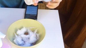 ФИНАЛЬНАЯ БИТВА БОТОВ  с сумасшедшими ингредиентами ? Алиса Че, как сделать слайм