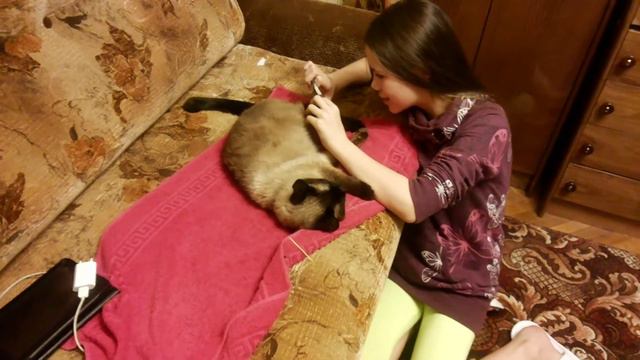 Педикюр на дому.