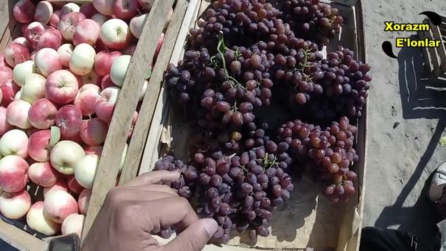 УРГАНЧ ЧОЛИШ БОЗОРИ КИММАТРОКМИ? \ URGANCH CHOLISH BOZOR #xorazm_urganch