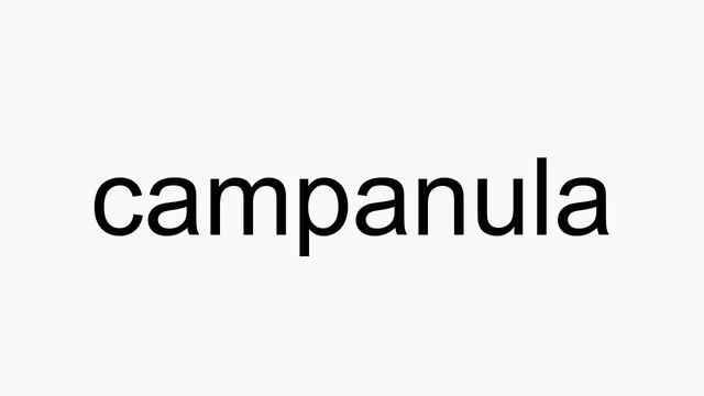 How to pronounce campanula смотреть онлайн