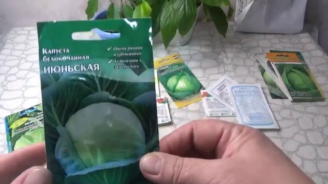 Сорта капусты на новый сезон 2022 года. От 1 кг до 15 кг кочаны. смотреть онлайн