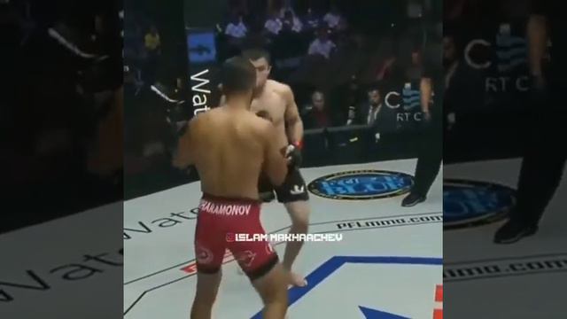Умар Нурмагомедов незнающий поражений💪☝️ смотреть онлайн