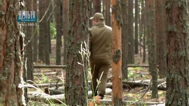 Ботинки ХСН Дельта черные смотреть онлайн