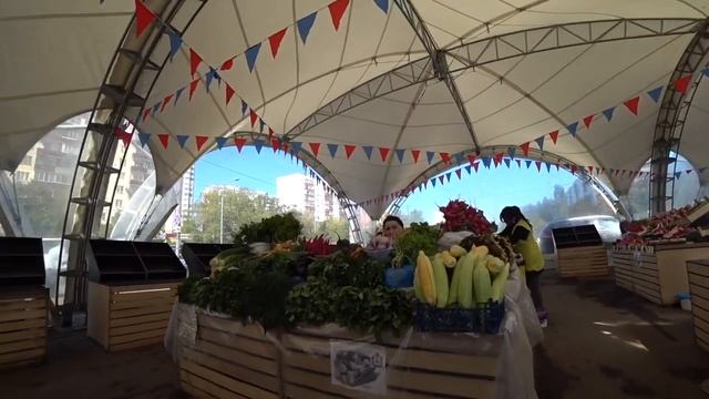 Решил стать Донором. Иду сдавать кровь... НО, не всё так просто! смотреть онлайн