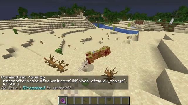 I Put Quick Charge 100 On A Crossbow