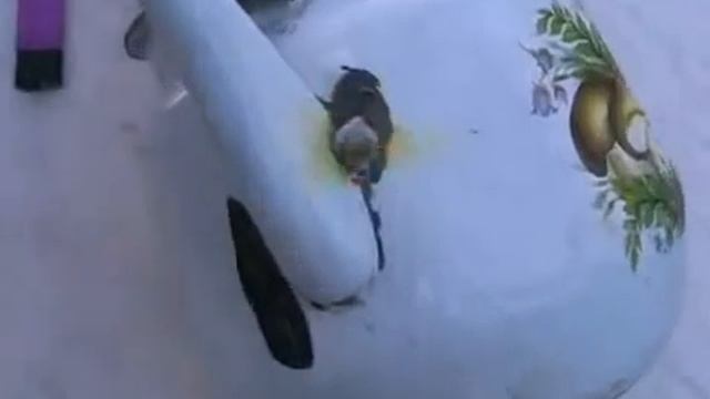 экстрапайк смотреть онлайн