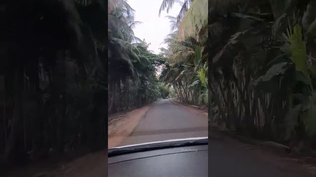 😱😨The Most Dangerous Road in Tamilnadu l Kolli hills🏞️ | Travel Vlog | #vlogs #dangerous #road смотреть онлайн