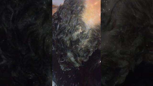 #Химическая #завивка в #барбершопе. #perm at the #barbershop смотреть онлайн