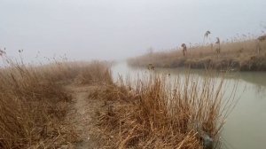 Рыбалка Кизляр Тушиловка 11 марта