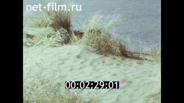 1980г. Каракумский канал. город Мары. Туркменистан. смотреть онлайн