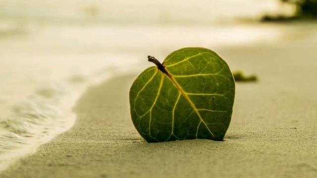 Best Flute background music by JAMES GALWAY - copywrites free music. смотреть онлайн