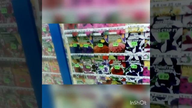 Обзор семян петуний в магазине Семена для Сибири