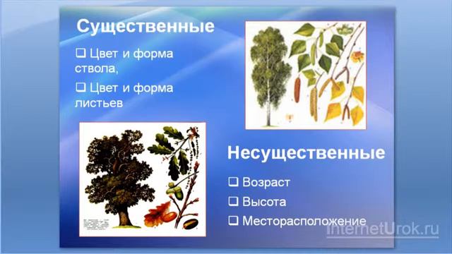 Понятие как форма мышления смотреть онлайн