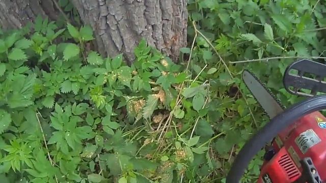 Сухие дрова для бани смотреть онлайн