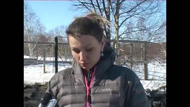 Каюр с Камчатки лишился жилья.flv смотреть онлайн