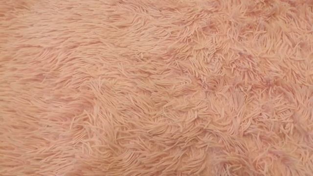 Что я беру с собой в Сочи •SonDiary• смотреть онлайн