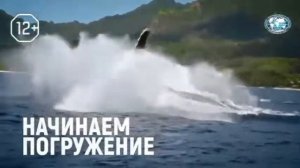 Анонс и рекламный блок (Моя планета, 06.01.2021)