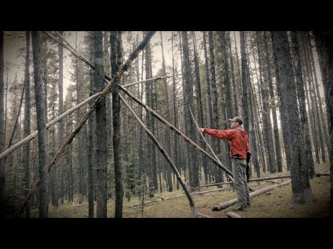 BIGFOOT PROBABLY DOESN'T MAKE TREE STRUCTURES смотреть онлайн