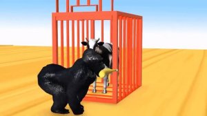 УЧИМ ЦВЕТА И ФРУКТЫ С ГОРИЛЛОЙ ДЛЯ ДЕТЕЙ