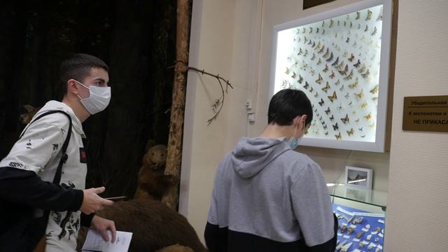 Образовательные маршруты Столицы.mp4 смотреть онлайн