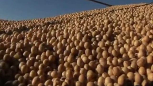 Гарантия качества продукта Гербалайф смотреть онлайн