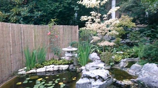 Suisse Switzerland Genève Швейцария Женева Ботанический сад Японский Conservatoire jardin botaniqu смотреть онлайн