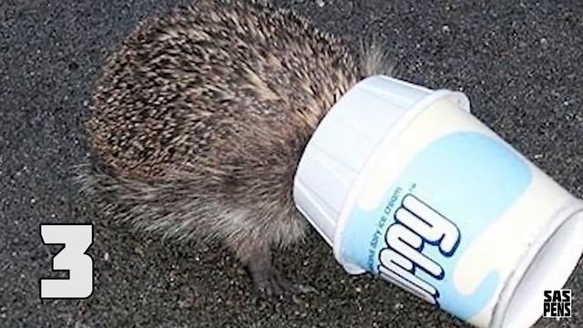 Революция в уходе за волосами