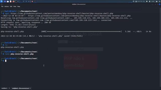 How to get stable reverse shell through PHP Pentest-Monkey with malicious file upload vulnerability смотреть онлайн