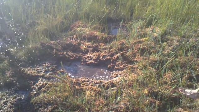 В болото. смотреть онлайн