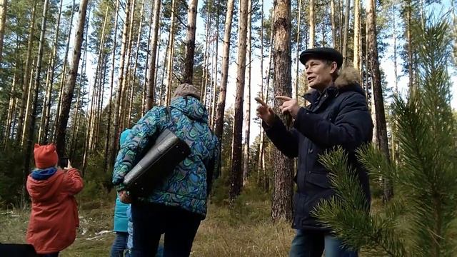 Интересный факт о листвиннице смотреть онлайн